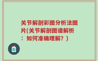 关节解剖彩图分析法图片(关节解剖图谱解析：如何准确理解？)