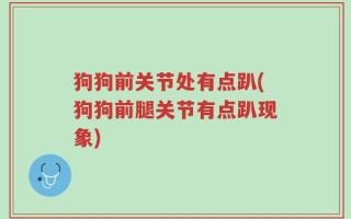 狗狗前关节处有点趴(狗狗前腿关节有点趴现象)
