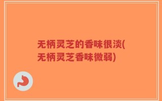 无柄灵芝的香味很淡(无柄灵芝香味微弱)