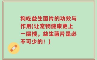 狗吃益生菌片的功效与作用(让宠物健康更上一层楼，益生菌片是必不可少的！)