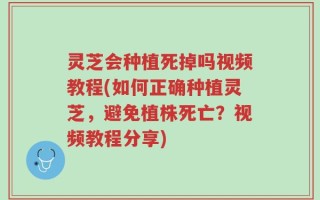 灵芝会种植死掉吗视频教程(如何正确种植灵芝，避免植株死亡？视频教程分享)