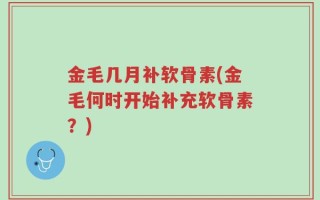 金毛几月补软骨素(金毛何时开始补充软骨素？)