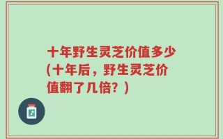十年野生灵芝价值多少(十年后，野生灵芝价值翻了几倍？)
