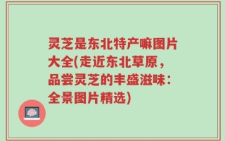灵芝是东北特产嘛图片大全(走近东北草原，品尝灵芝的丰盛滋味：全景图片精选)