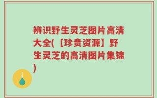 辨识野生灵芝图片高清大全(【珍贵资源】野生灵芝的高清图片集锦)