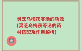 灵芝乌梅茯苓汤的功效(灵芝乌梅茯苓汤的药材搭配及作用解析)