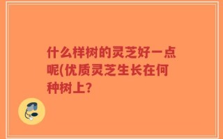 什么样树的灵芝好一点呢(优质灵芝生长在何种树上？
