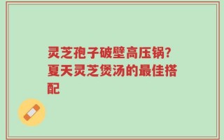 灵芝孢子破壁高压锅？夏天灵芝煲汤的最佳搭配