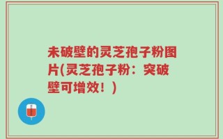未破壁的灵芝孢子粉图片(灵芝孢子粉：突破壁可增效！)