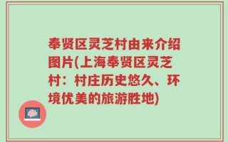 奉贤区灵芝村由来介绍图片(上海奉贤区灵芝村：村庄历史悠久、环境优美的旅游胜地)