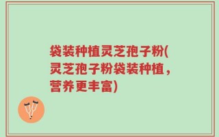 袋装种植灵芝孢子粉(灵芝孢子粉袋装种植，营养更丰富)