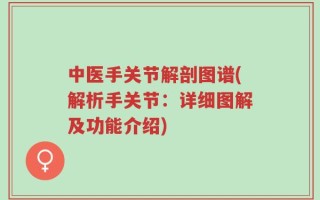 中医手关节解剖图谱(解析手关节：详细图解及功能介绍)