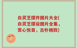 白灵芝摆件图片大全(白灵芝摆设图片全集，赏心悦目，古朴精致)