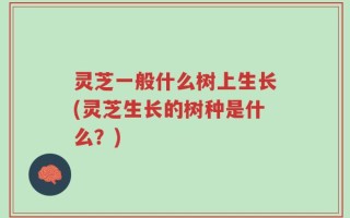 灵芝一般什么树上生长(灵芝生长的树种是什么？)