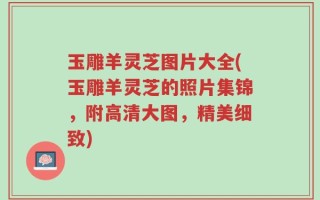 玉雕羊灵芝图片大全(玉雕羊灵芝的照片集锦，附高清大图，精美细致)
