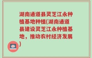 湖南通道县灵芝江永种植基地种植(湖南通道县建设灵芝江永种植基地，推动农村经济发展)