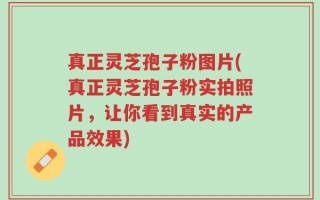 真正灵芝孢子粉图片(真正灵芝孢子粉实拍照片，让你看到真实的产品效果)