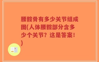 腰髋骨有多少关节组成图(人体腰髋部分含多少个关节？这是答案！)
