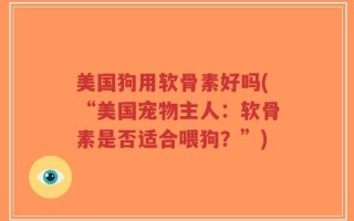 美国狗用软骨素好吗(“美国宠物主人：软骨素是否适合喂狗？”)