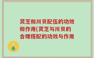 灵芝和川贝配伍的功效和作用(灵芝与川贝的合理搭配的功效与作用