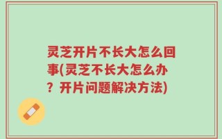 灵芝开片不长大怎么回事(灵芝不长大怎么办？开片问题解决方法)