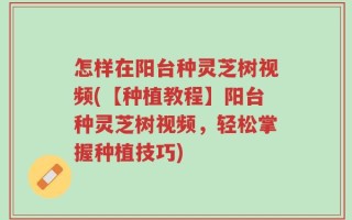 怎样在阳台种灵芝树视频(【种植教程】阳台种灵芝树视频，轻松掌握种植技巧)