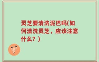 灵芝要清洗泥巴吗(如何清洗灵芝，应该注意什么？)