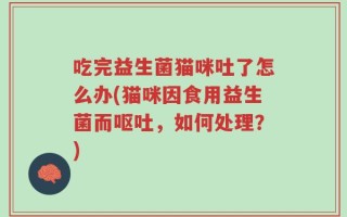 吃完益生菌猫咪吐了怎么办(猫咪因食用益生菌而呕吐，如何处理？)