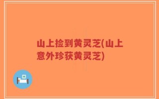 山上捡到黄灵芝(山上意外珍获黄灵芝)