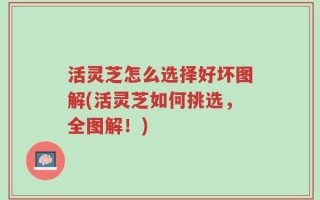 活灵芝怎么选择好坏图解(活灵芝如何挑选，全图解！)