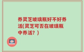 养灵芝玻璃瓶好不好养活(灵芝可否在玻璃瓶中养活？)