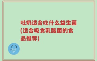 吐奶适合吃什么益生菌(适合吸食乳酸菌的食品推荐)