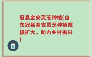 冠县金安灵芝种植(山东冠县金安灵芝种植规模扩大，助力乡村振兴)