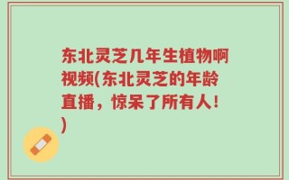 东北灵芝几年生植物啊视频(东北灵芝的年龄直播，惊呆了所有人！)