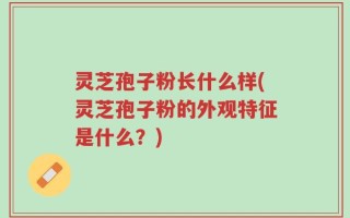 灵芝孢子粉长什么样(灵芝孢子粉的外观特征是什么？)