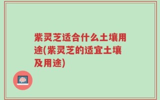 紫灵芝适合什么土壤用途(紫灵芝的适宜土壤及用途)
