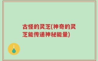 古怪的灵芝(神奇的灵芝能传递神秘能量)