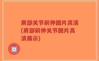 肩部关节前伸图片高清(肩部前伸关节图片高清展示)