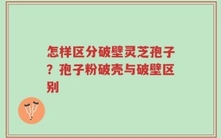 怎样区分破壁灵芝孢子？孢子粉破壳与破壁区别