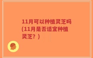 11月可以种植灵芝吗(11月是否适宜种植灵芝？)