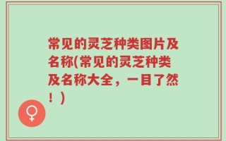 常见的灵芝种类图片及名称(常见的灵芝种类及名称大全，一目了然！)