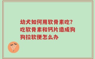 幼犬如何用软骨素吃？吃软骨素和钙片造成狗狗拉软便怎么办