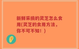 新鲜采摘的灵芝怎么食用(灵芝的食用方法，你不可不知！)
