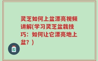 灵芝如何上盆漂亮视频讲解(学习灵芝盆栽技巧：如何让它漂亮地上盆？)