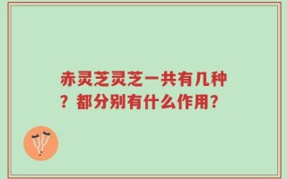 赤灵芝灵芝一共有几种？都分别有什么作用？