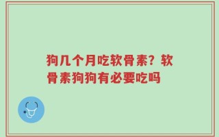 狗几个月吃软骨素？软骨素狗狗有必要吃吗