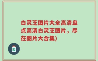 白灵芝图片大全高清盘点高清白灵芝图片，尽在图片大合集)