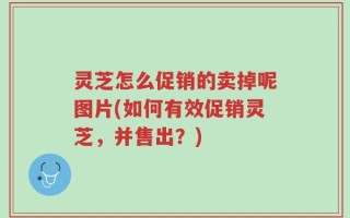 灵芝怎么促销的卖掉呢图片(如何有效促销灵芝，并售出？)