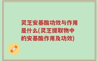 灵芝安基酸功效与作用是什么(灵芝提取物中的安基酸作用及功效)