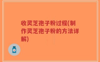 收灵芝孢子粉过程(制作灵芝孢子粉的方法详解)